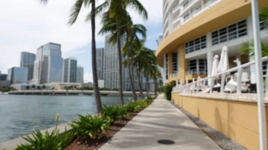 MIA_2023-08-21 15-01-28_RX_06366